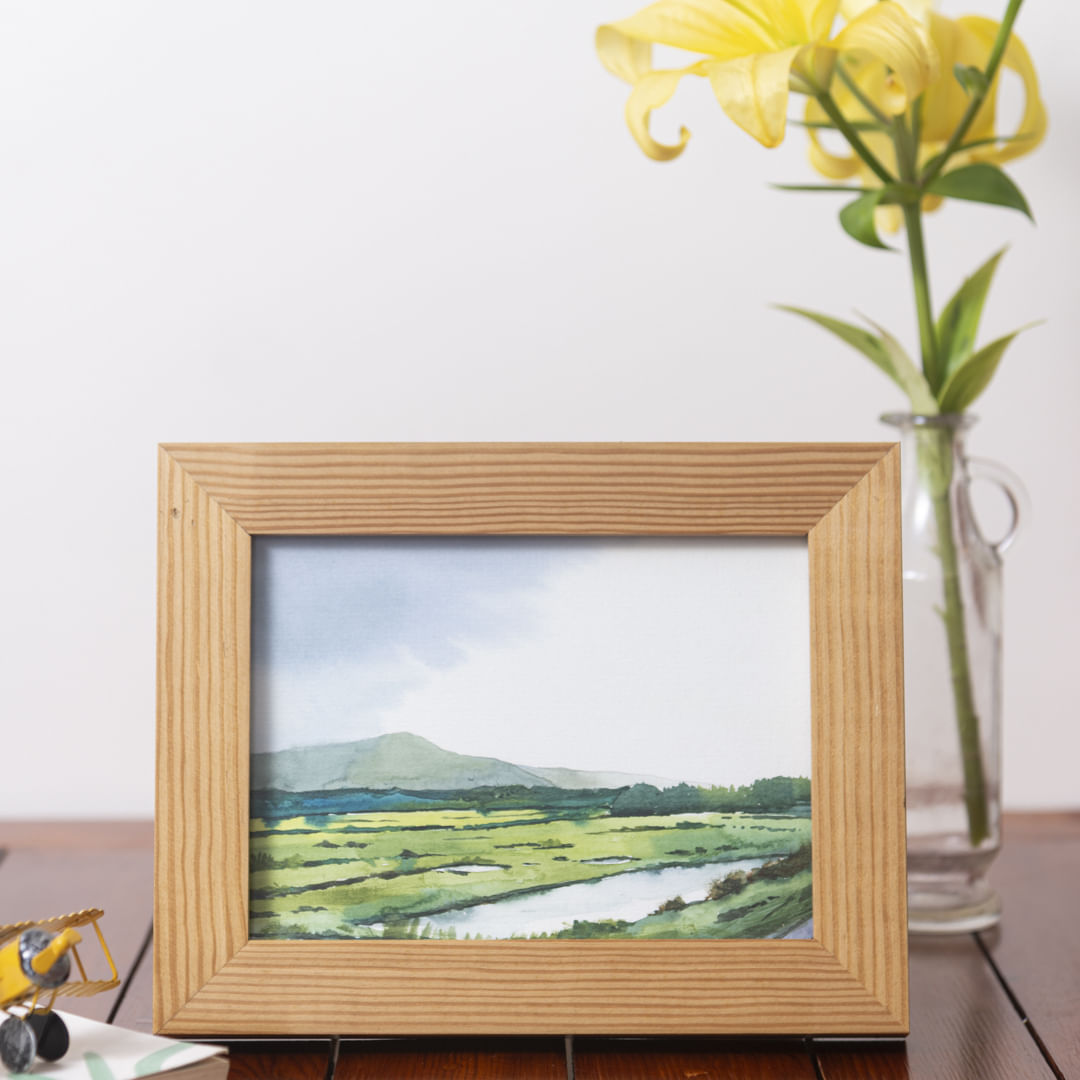 Picture frame,Flower,Photograph,White,Plant,Green,Nature,Rectangle,Wood,Yellow