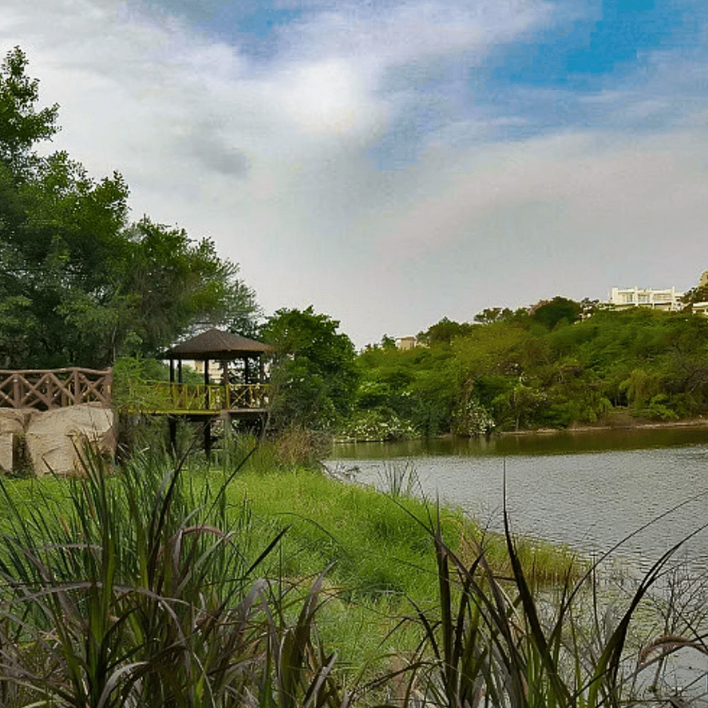 Water,Cloud,Plant,Sky,Water resources,Nature,Natural landscape,Vegetation,Tree,Lake