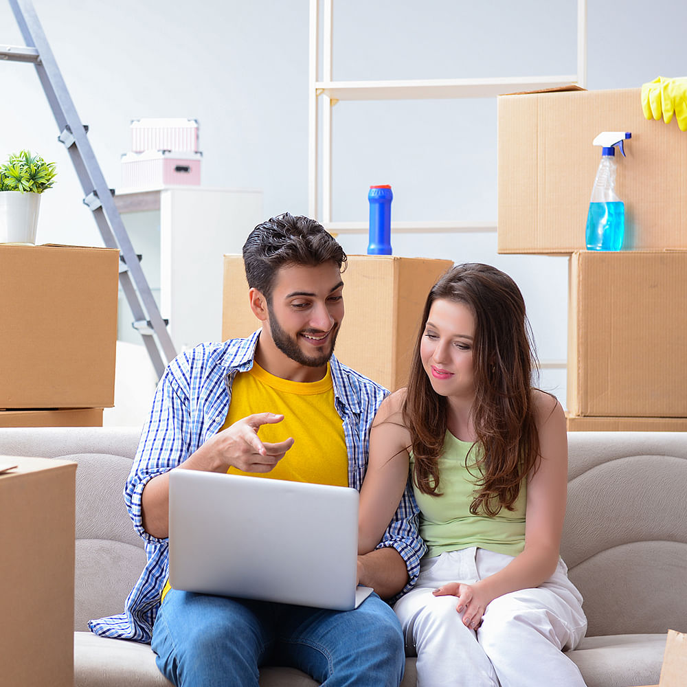 Jeans,Smile,Plant,Comfort,Laptop,Yellow,Happy,Houseplant,Personal computer,Flowerpot