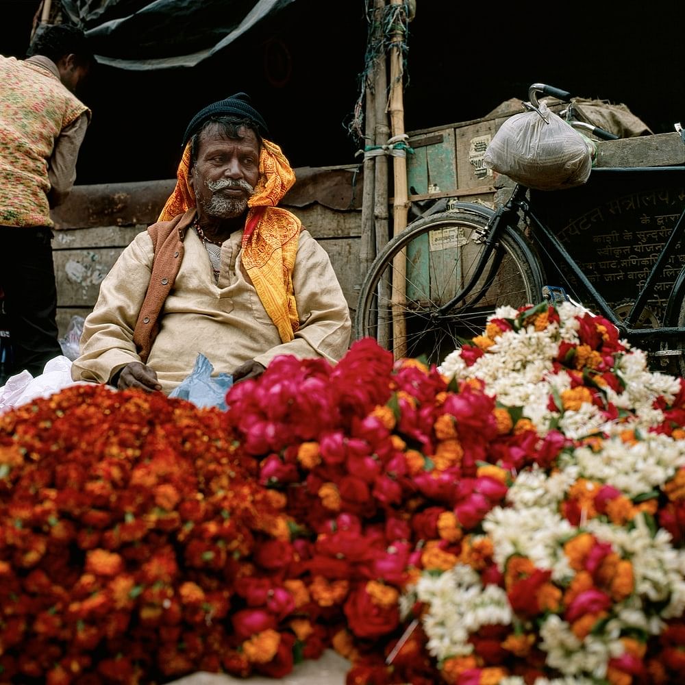 Flower,Plant,Selling,Natural foods,Market,Petal,Public space,City,Hawker,Whole food