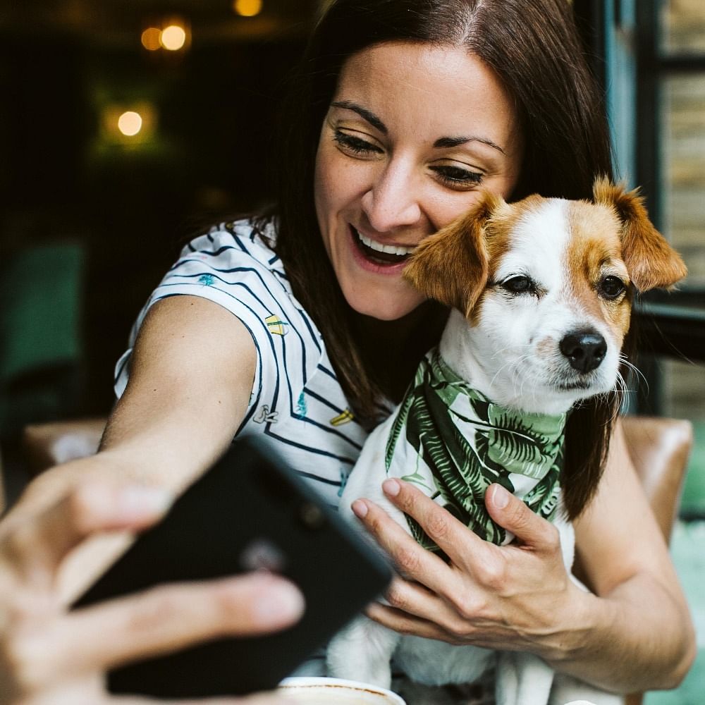 Hand,Smile,Dog,Dog breed,Carnivore,Happy,Fawn,Flash photography,Companion dog,Dog supply