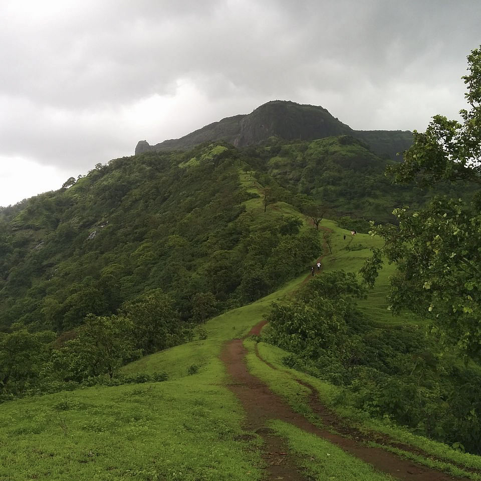 Cloud,Sky,Plant,Plant community,Mountain,Tree,Natural landscape,Slope,Land lot,Terrain