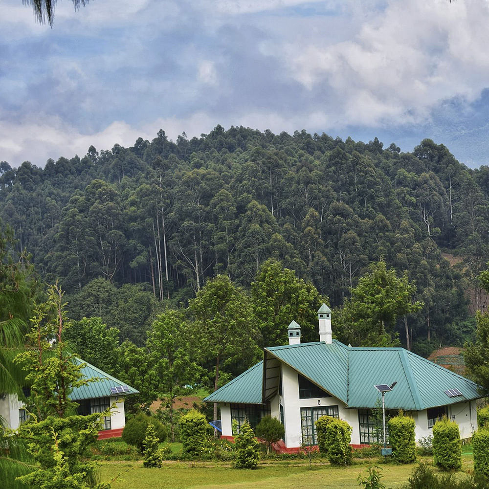 Cloud,Sky,Plant,Plant community,Natural landscape,Mountain,Green,Tree,Land lot,Building