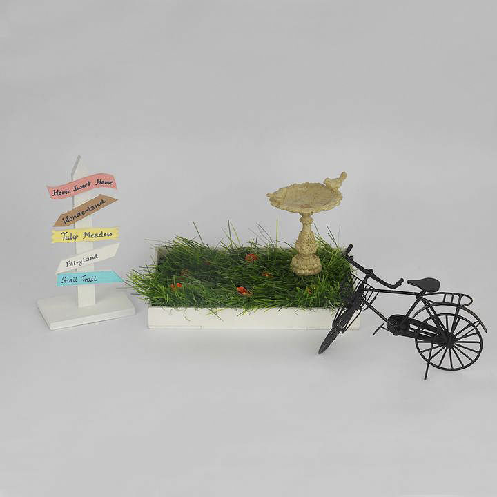Vertebrate,Bicycle,Bicycle tire,Wheel,Tire,Plant,Houseplant,Art,Flowerpot,Font