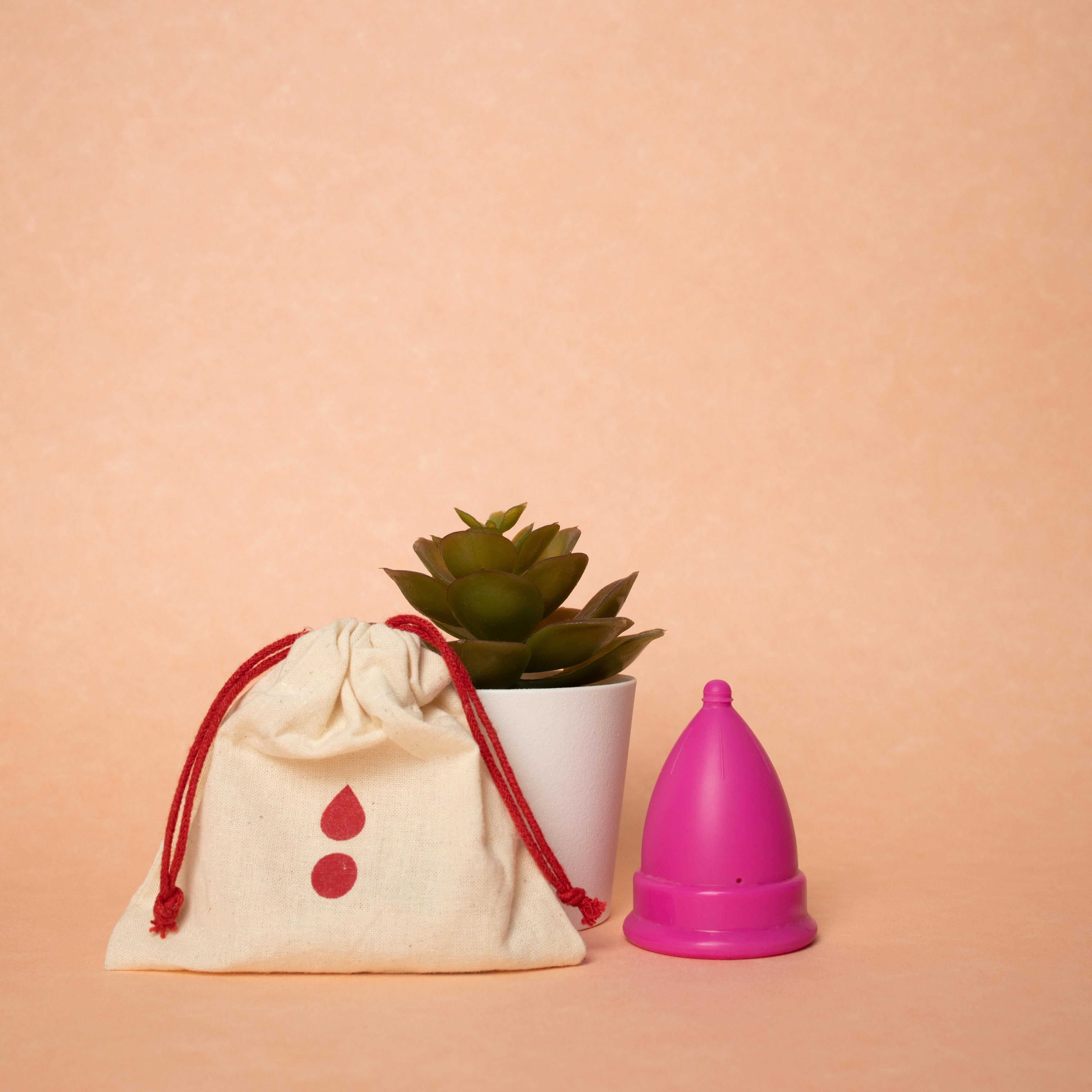 Cone,Plant,Serveware,Costume hat,Christmas decoration,Magenta,Event,Fashion accessory,Peach,Conifer