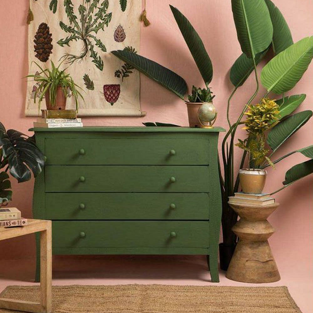 Plant,Cabinetry,Table,Property,Furniture,Dresser,Green,Drawer,Wood,Purple