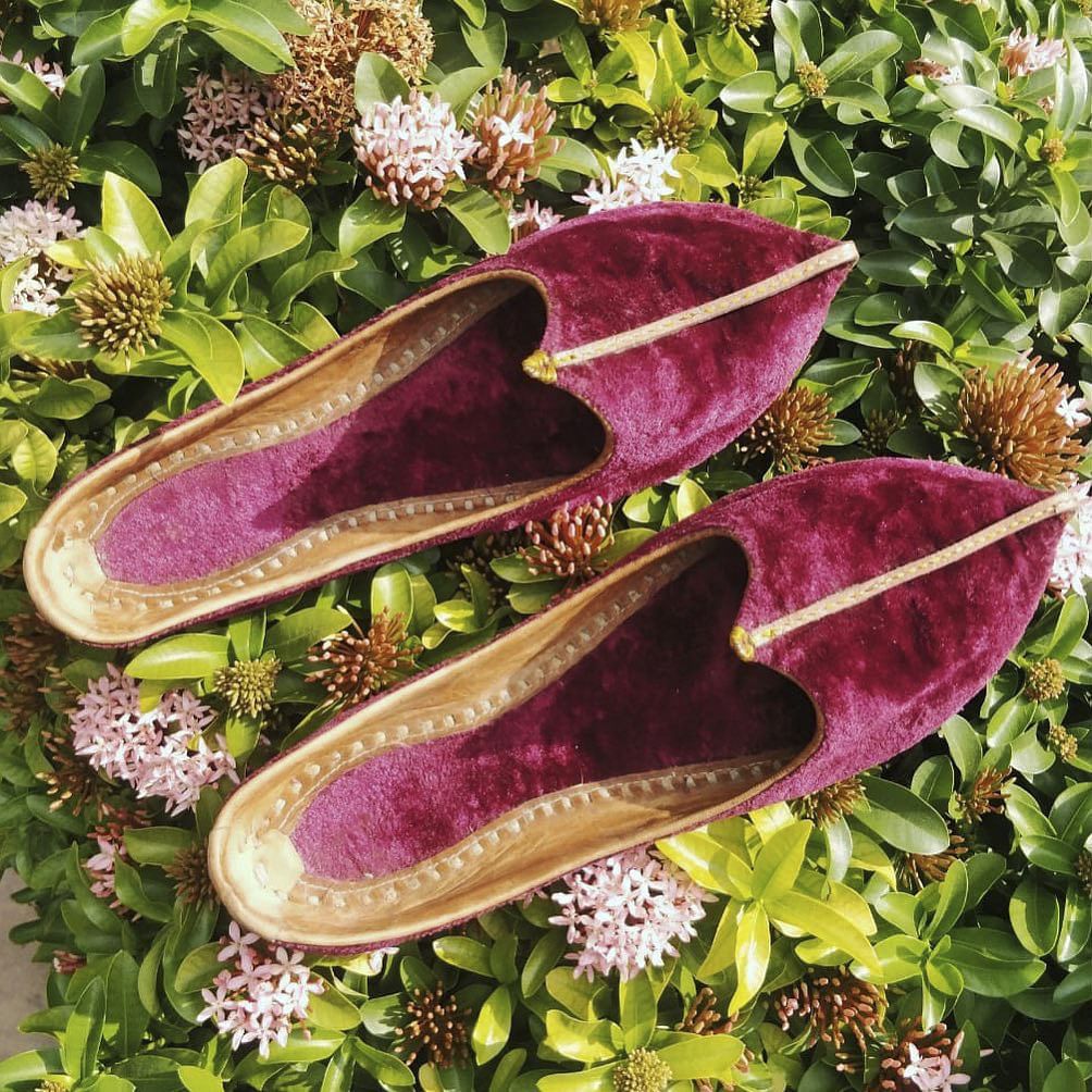 Plant,Botany,Purple,Terrestrial plant,Flowering plant,Magenta,Groundcover,Natural material,Spring,Leaf vegetable