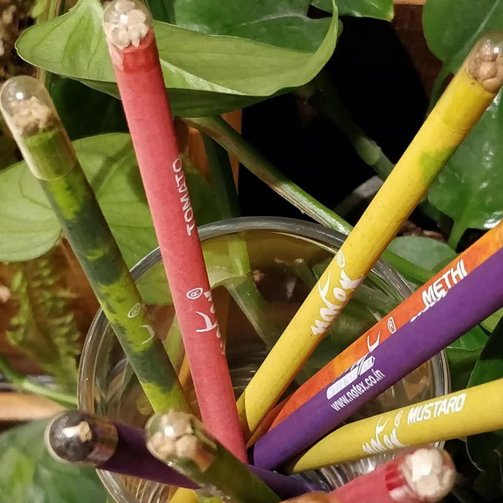 Green,Terrestrial plant,Magenta,Writing implement,Office supplies,Sugarcane,Flowering plant,Plastic,Plant stem,Plant