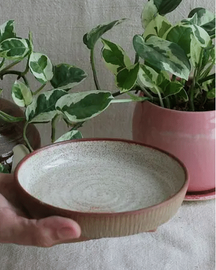 Plant,Dishware,Flowerpot,Houseplant,Serveware,Terrestrial plant,Art,Flowering plant,Ingredient,Circle