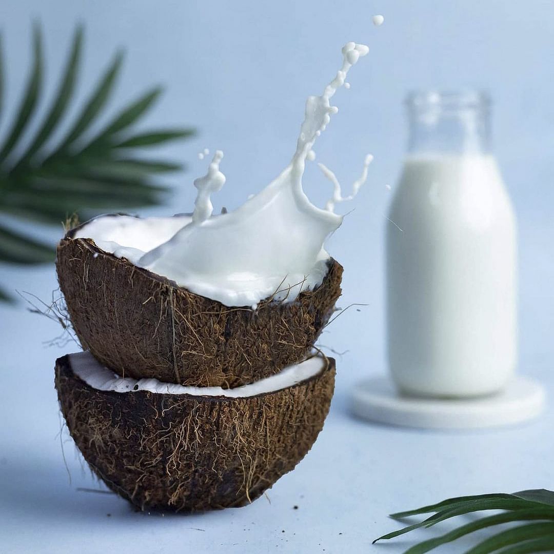 Plant,Liquid,White,Light,Drinkware,Dishware,Lighting,Fluid,Serveware,Rice milk