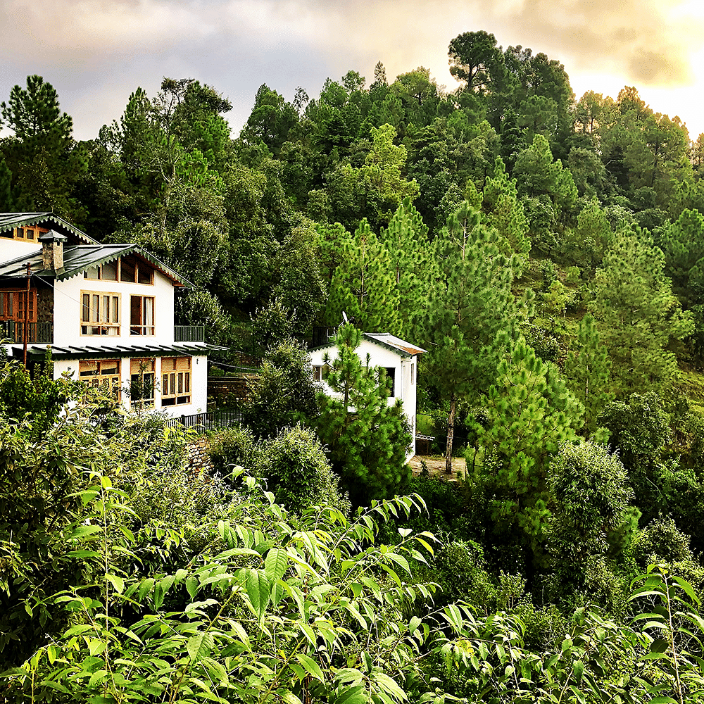 Cloud,Plant,Sky,Green,Window,Natural landscape,Tree,Building,Land lot,House