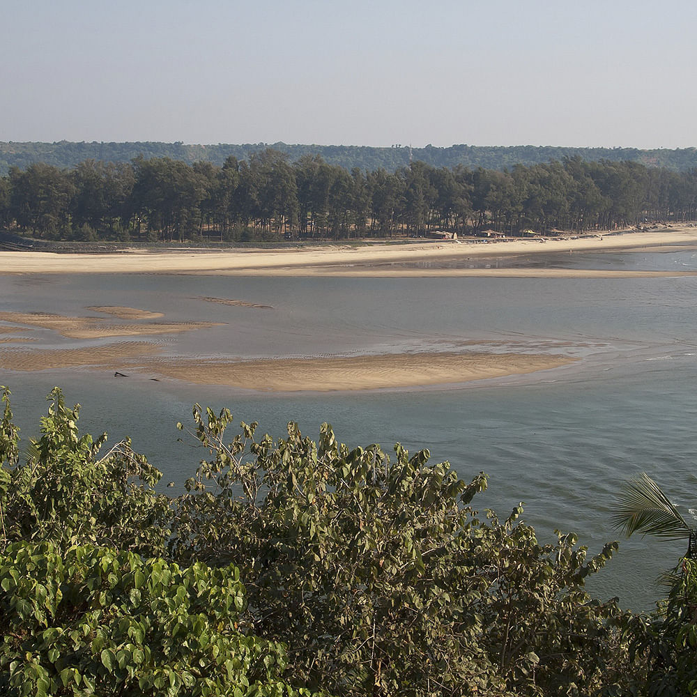 Water,Sky,Plant,Plant community,Natural landscape,Land lot,Tree,Bank,Grass,Lake