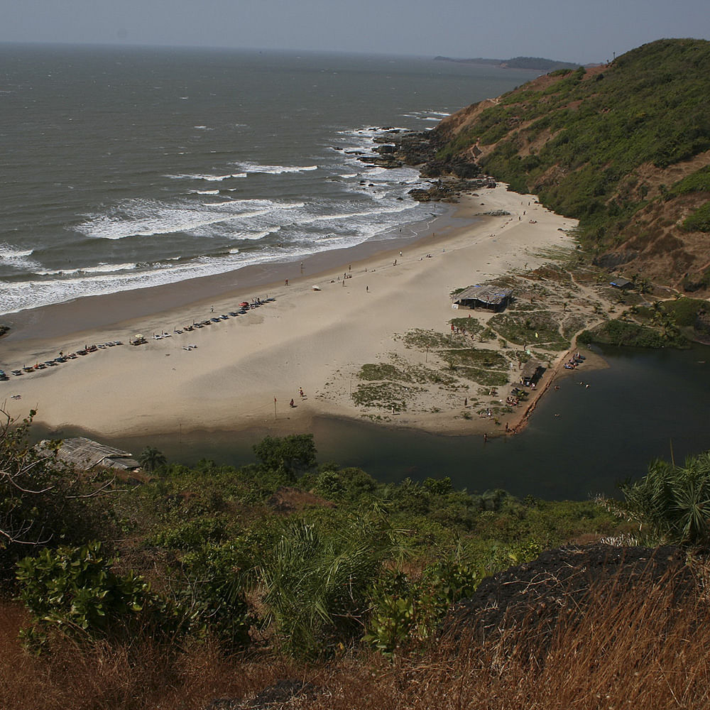 Water,Sky,Ecoregion,Plant,Natural landscape,Beach,Coastal and oceanic landforms,Terrain,Bank,Landscape