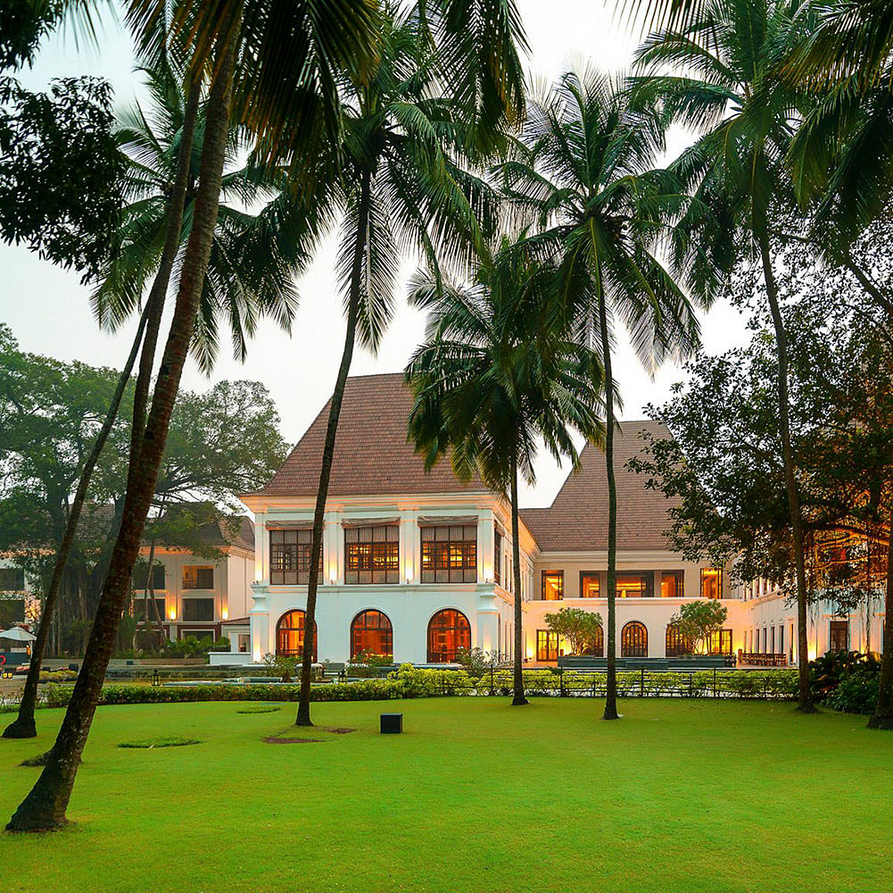 Plant,Building,Sky,Property,Window,Nature,Tree,House,Arecales,Land lot