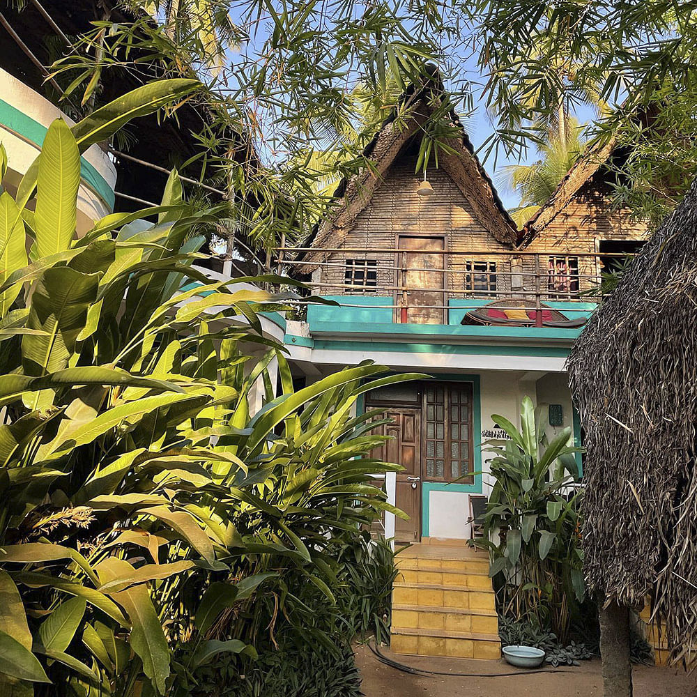 Plant,Building,Property,Window,Sky,Tree,Architecture,House,Biome,Residential area