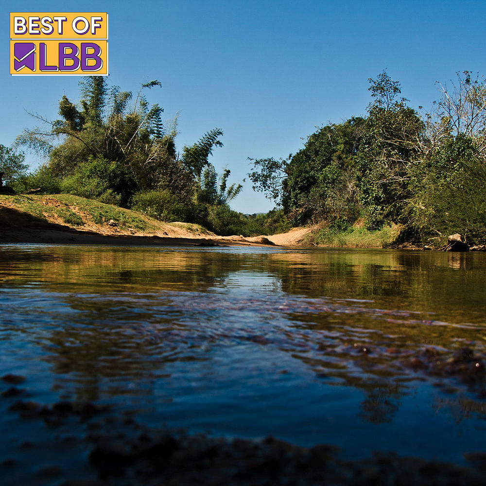 Water,Sky,Water resources,Plant,Natural landscape,Fluvial landforms of streams,Vegetation,Sunlight,Lake,Coastal and oceanic landforms