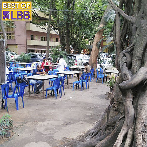 Table,Furniture,Tree,Plant,Nature,Outdoor furniture,Window,Leisure,Shade,Outdoor table