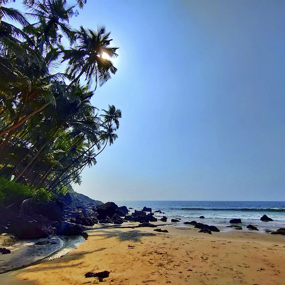 Water,Sky,Light,Natural landscape,Beach,Tree,Coastal and oceanic landforms,Arecales,Horizon,Landscape