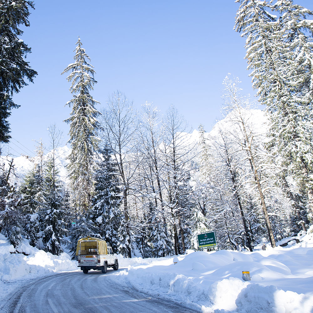 Sky,Tire,Snow,Daytime,Wheel,Nature,Vehicle,Branch,Natural landscape,Larch