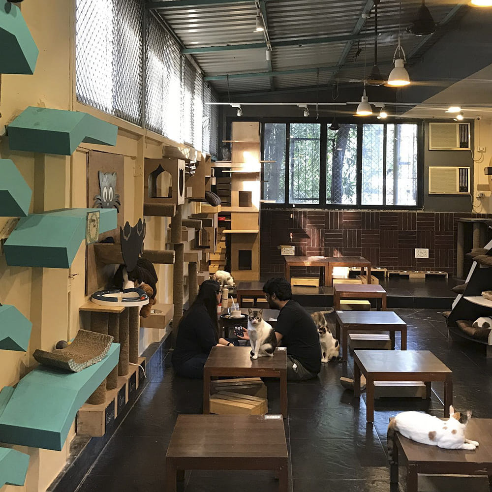 img-gallery-featured