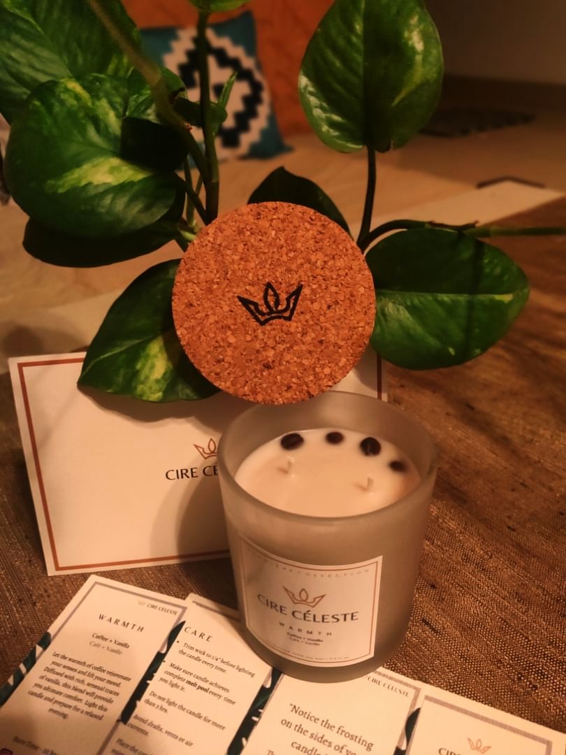 Plant,Houseplant,Green,Flowerpot,Tree,Cup,Terrestrial plant,Fruit,Citrus,Font