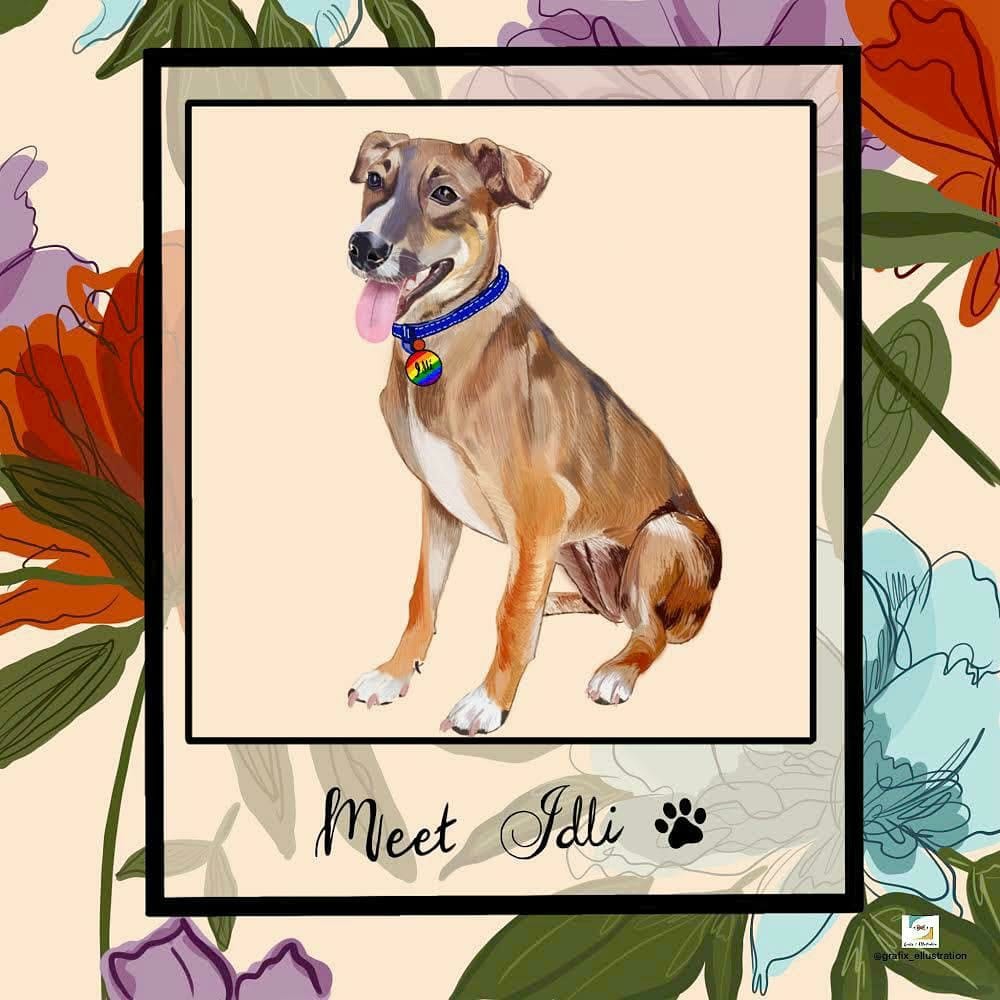 img-gallery-featured