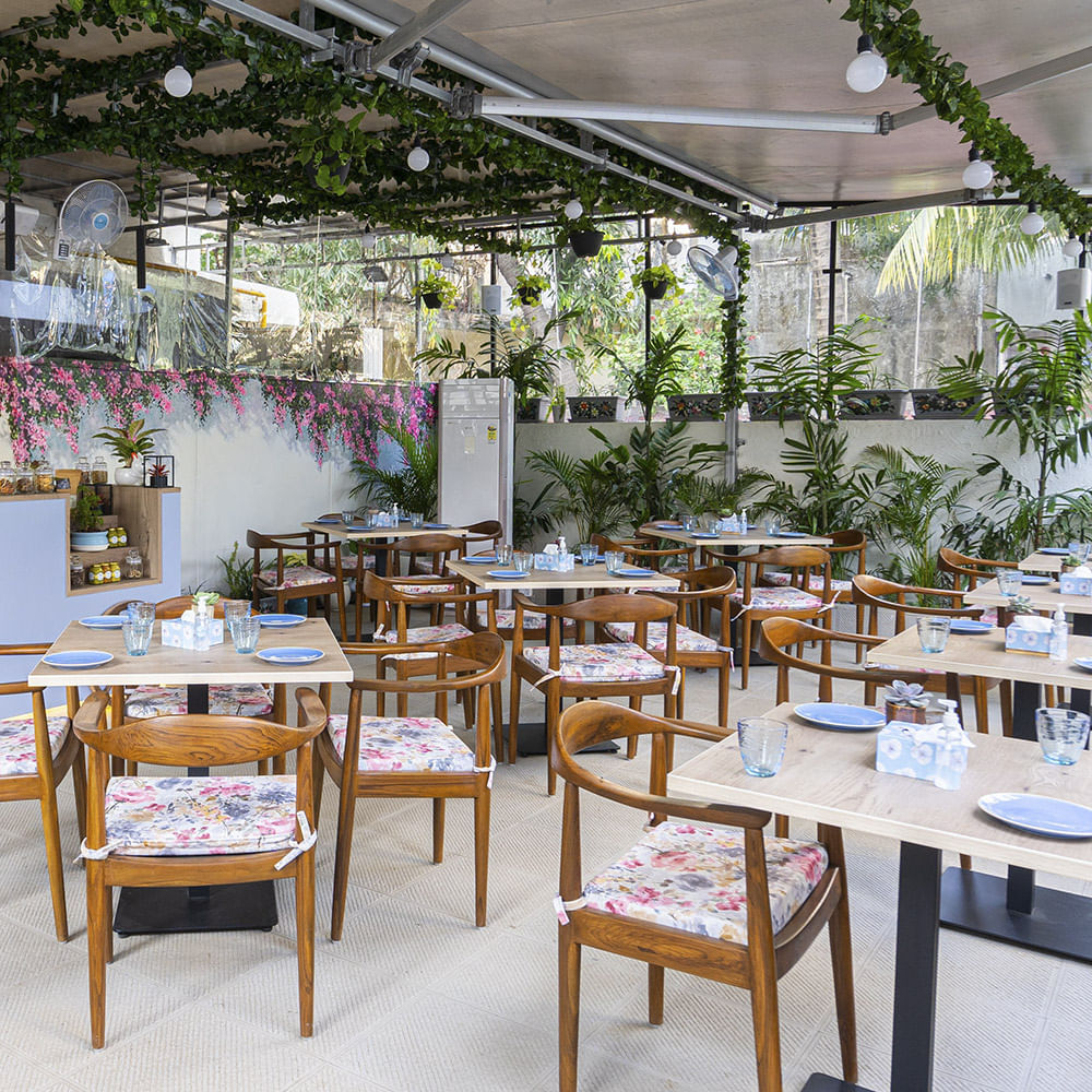 Table,Furniture,Plant,Chair,Lighting,Interior design,Shade,Wood,Houseplant,Flooring