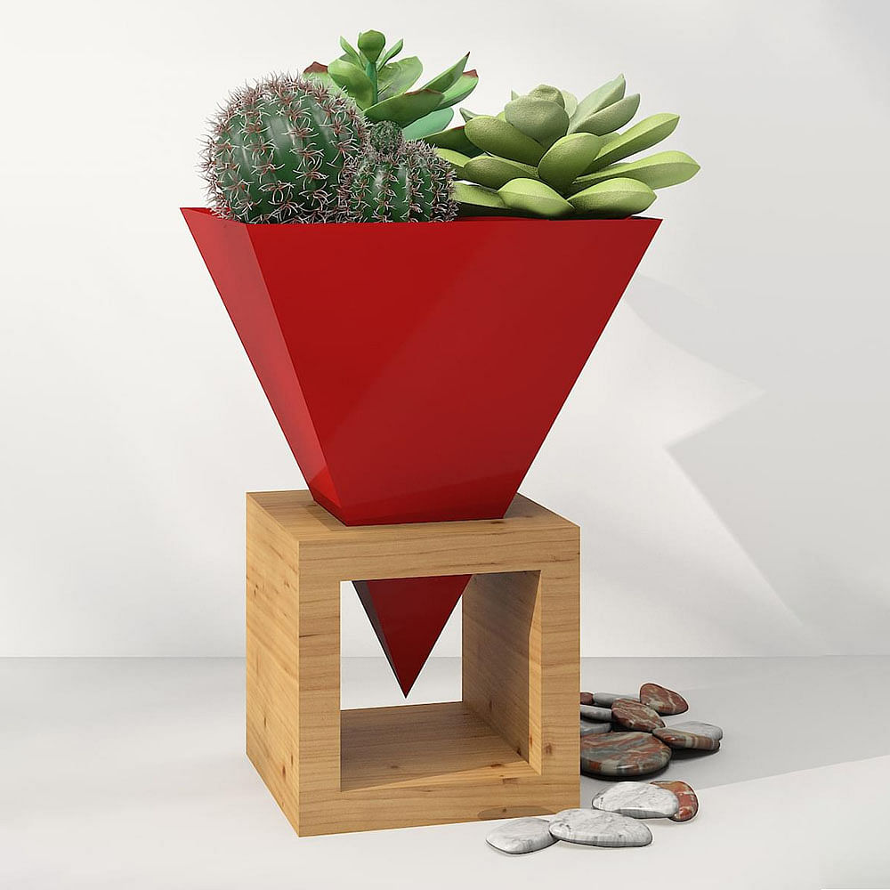 Plant,Flowerpot,Houseplant,Terrestrial plant,Rectangle,Wood,Flowering plant,Design,Hardwood,Table