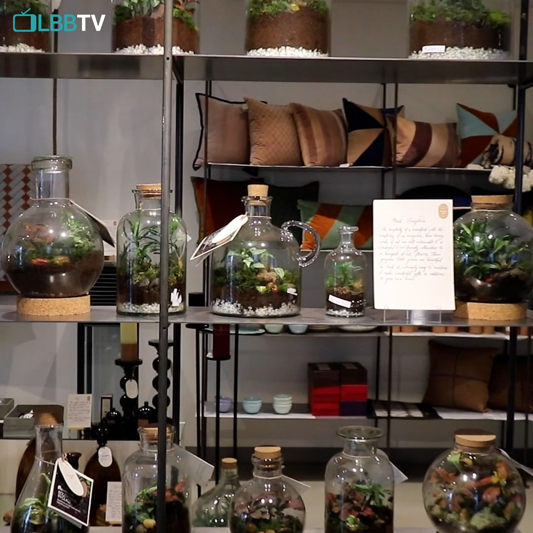 Bottle,Green,Product,Drinkware,Shelving,Barware,Lighting,Interior design,Houseplant,Plant