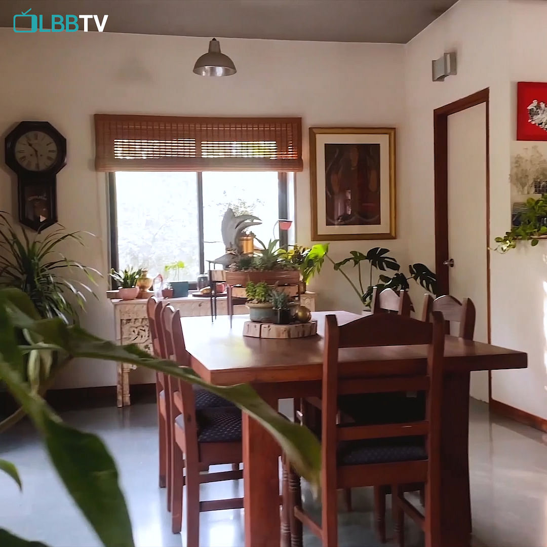 Plant,Table,Flower,Furniture,Property,Houseplant,Chair,Lighting,Wood,Flowerpot