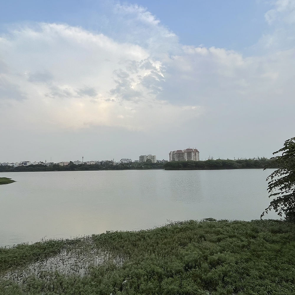 Cloud,Sky,Water,Water resources,Plant,Nature,Natural landscape,Lake,Vegetation,Watercourse