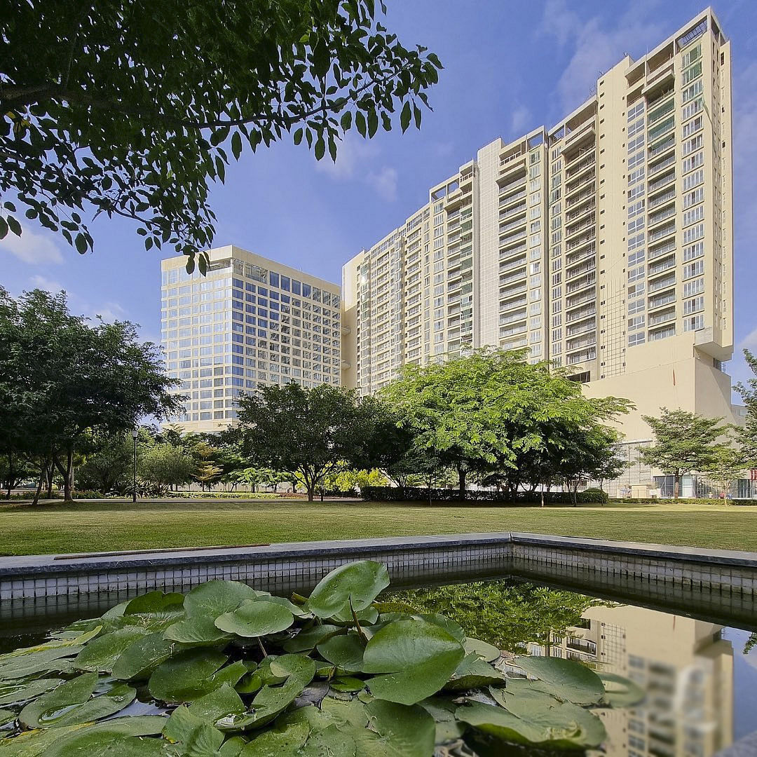 Sky,Building,Cloud,Plant,Skyscraper,Daytime,Water,Nature,Leaf,Tree