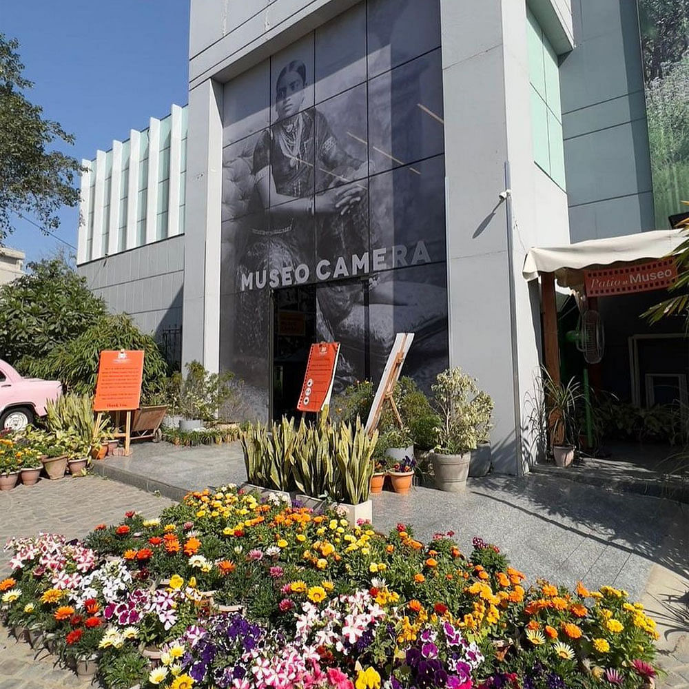 Flower,Plant,Leaf,Wheel,Tire,Building,Wall,Public space,Neighbourhood,Urban design