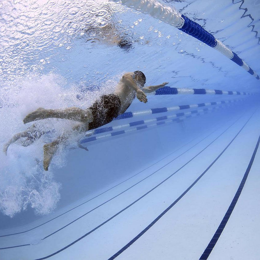 Water,Slope,Recreation,Sky,Wing,Electric blue,Beak,Wood,Sporting Group,Fun