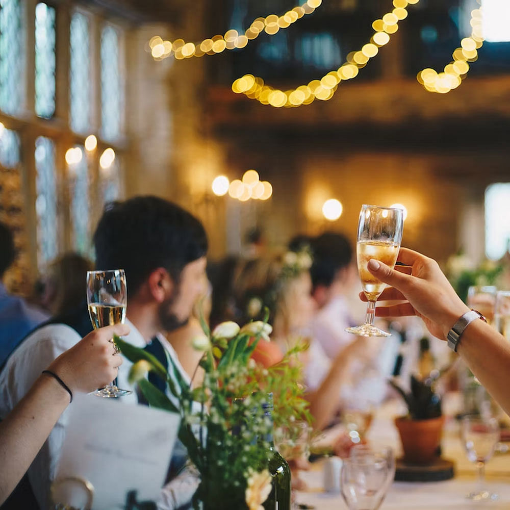 Tableware,Drinkware,Photograph,Stemware,Wine glass,Plant,Lighting,Yellow,Champagne stemware,Alcoholic beverage