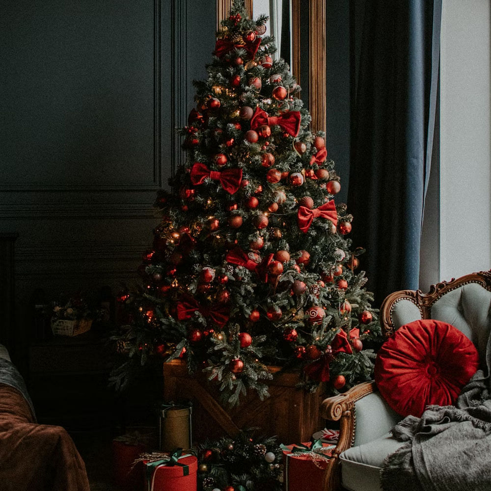 Christmas tree,Black,Christmas ornament,Plant,Interior design,Holiday ornament,Window,Wood,Evergreen,Tree