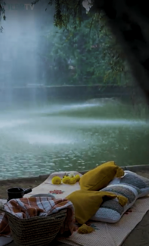 Water,Plant,Body of water,Grass,Tree,Leisure,Morning,Lake,Outdoor furniture,Fog