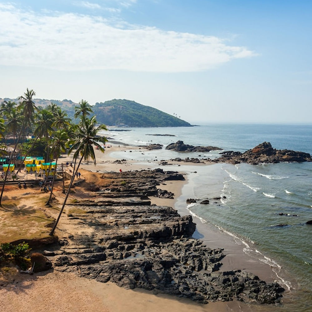 Water,Sky,Cloud,Plant,Natural environment,Beach,Tree,Natural landscape,Terrain,Landscape