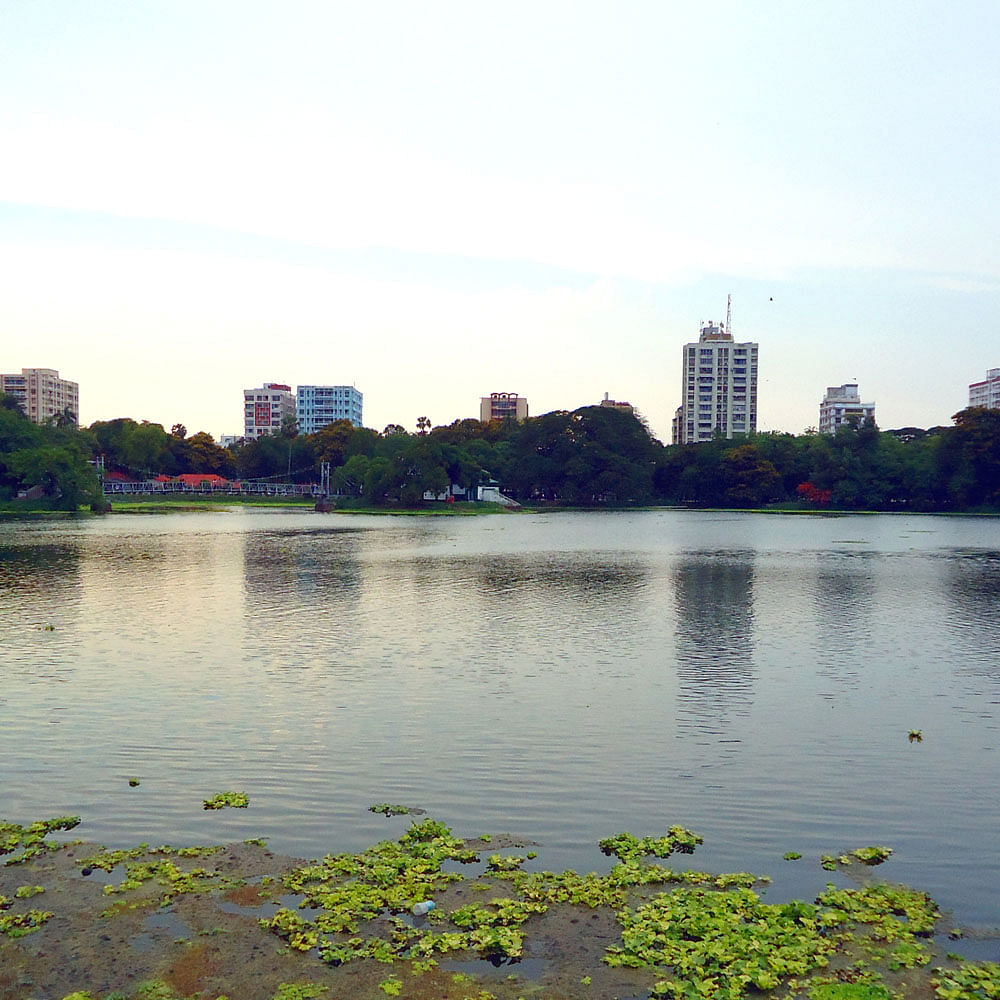 Water,Sky,Water resources,Cloud,Plant,Botany,Natural landscape,Building,Natural environment,Lake