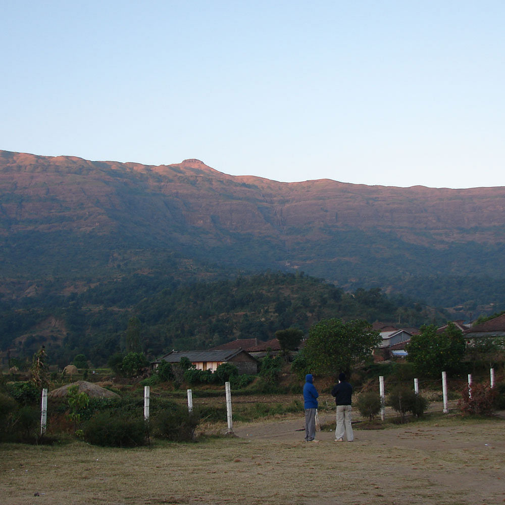 Sky,Plant,Ecoregion,Mountain,Land lot,Highland,Tree,Landscape,Grassland,Plain