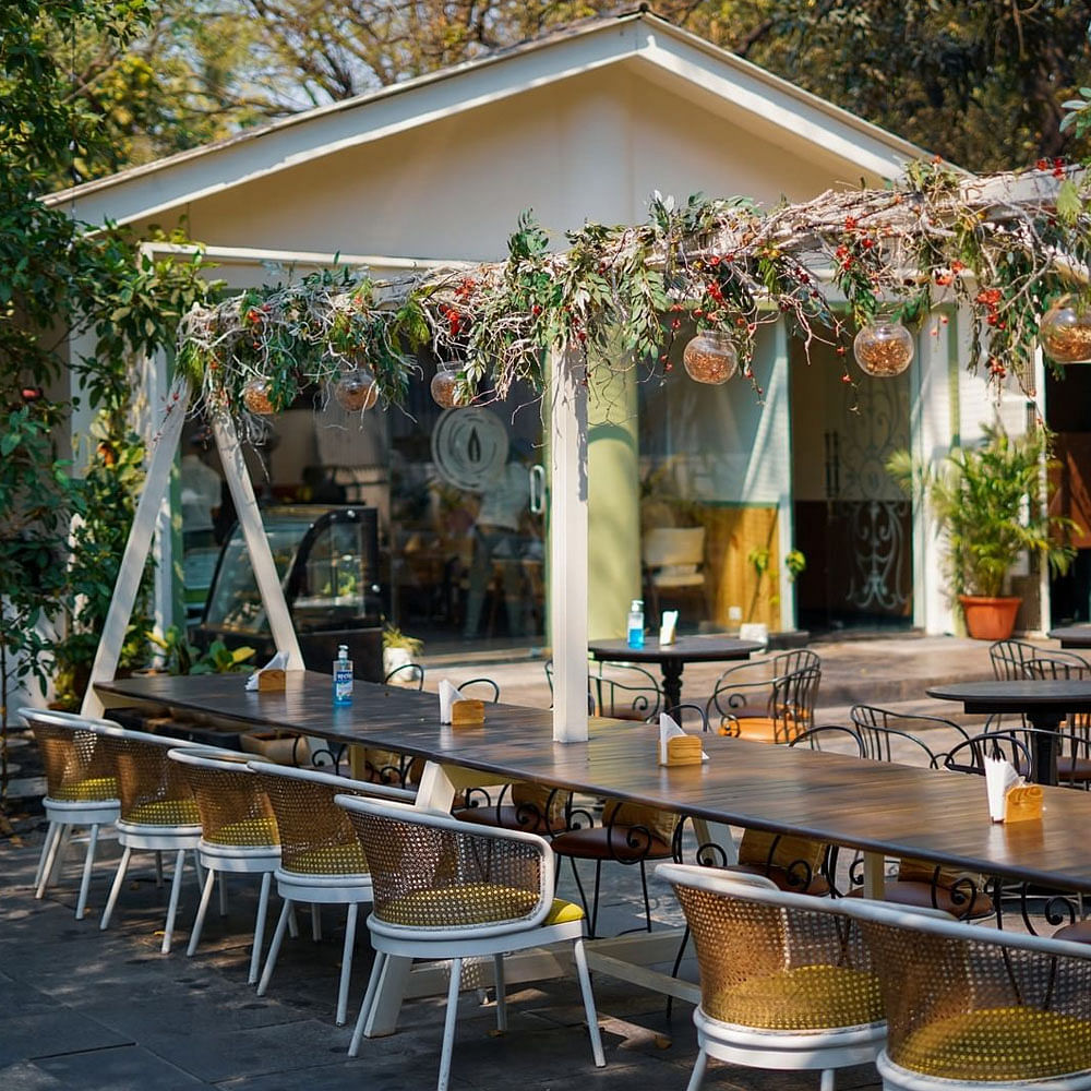 Table,Plant,Furniture,Building,Chair,Window,Tree,Lighting,Shade,Yellow