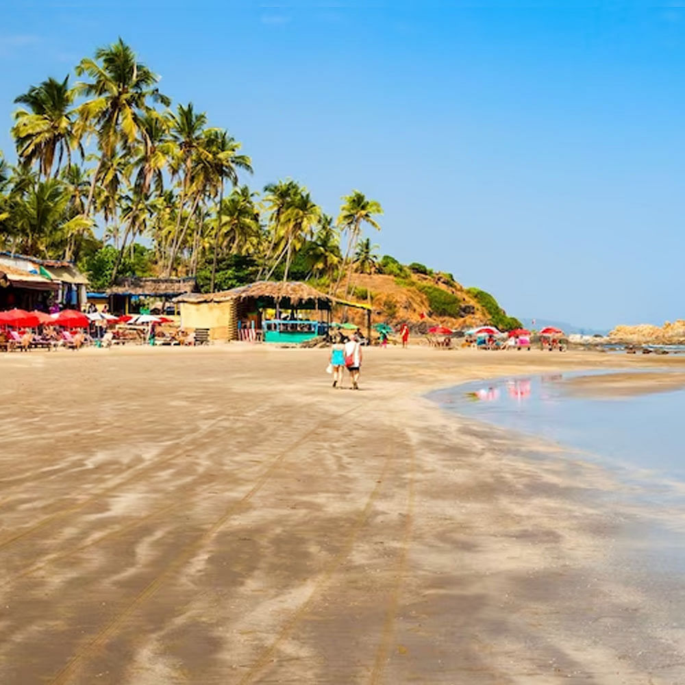 Sky,Water,People on beach,Azure,Beach,Tree,Coastal and oceanic landforms,Arecales,Travel,Leisure