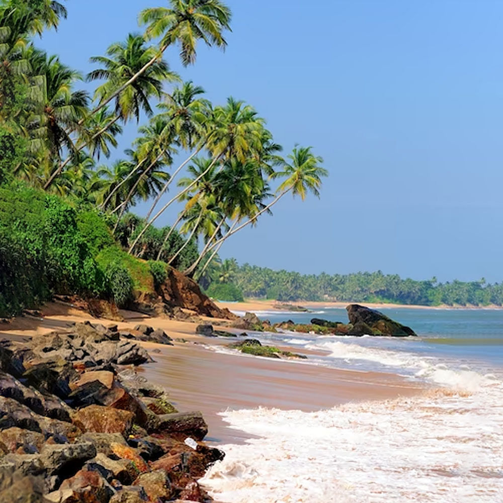 Water,Sky,Plant,Tree,Natural landscape,Beach,Vegetation,Arecales,Terrestrial plant,Bank