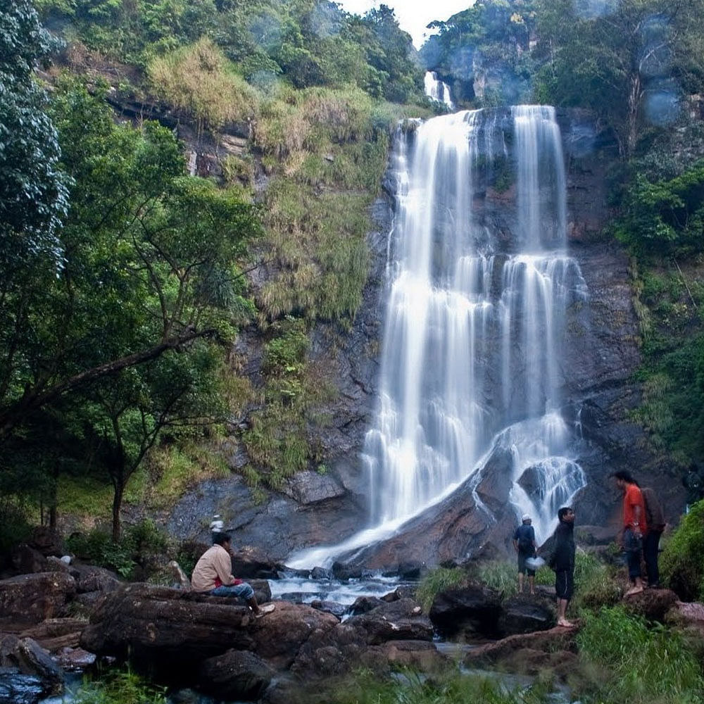 Water,Plant,Mountain,Natural landscape,Fluvial landforms of streams,Tree,Waterfall,Vegetation,Highland,Sky