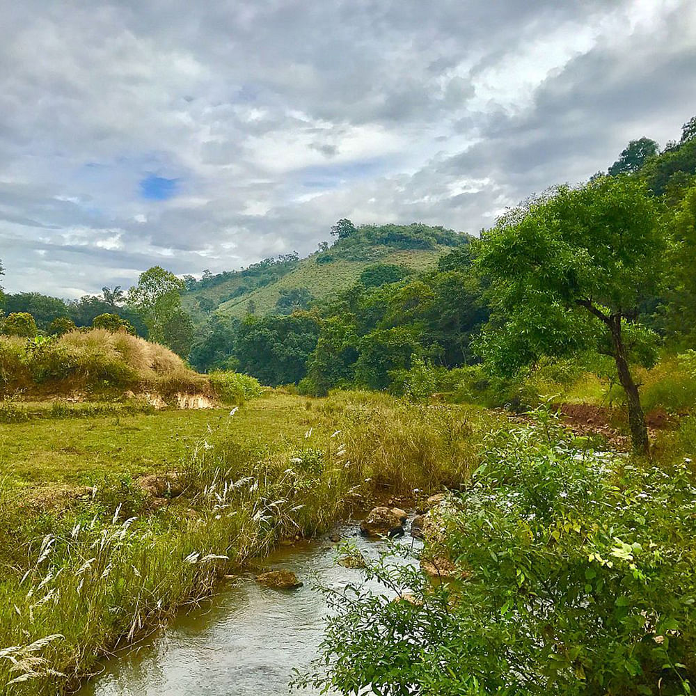 Cloud,Plant,Sky,Water,Mountain,Tree,Natural landscape,Highland,Fluvial landforms of streams,Grass