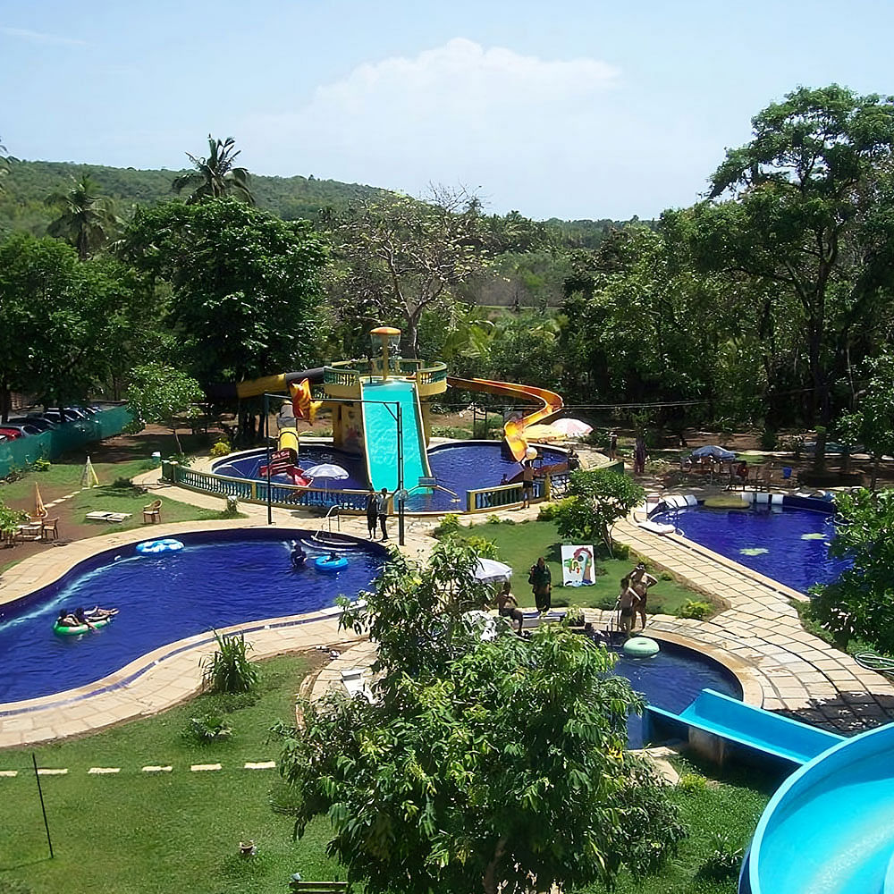 Water,Sky,Plant,Cloud,Tree,Swimming pool,Natural landscape,Chute,Fun,Leisure