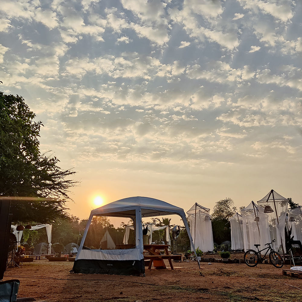 Cloud,Sky,Tent,Ecoregion,Plant,Light,Tree,Shade,Sunlight,Biome