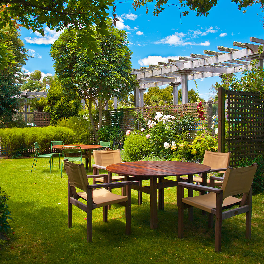 Plant,Furniture,Sky,Property,Table,Cloud,Nature,Green,Botany,Shade