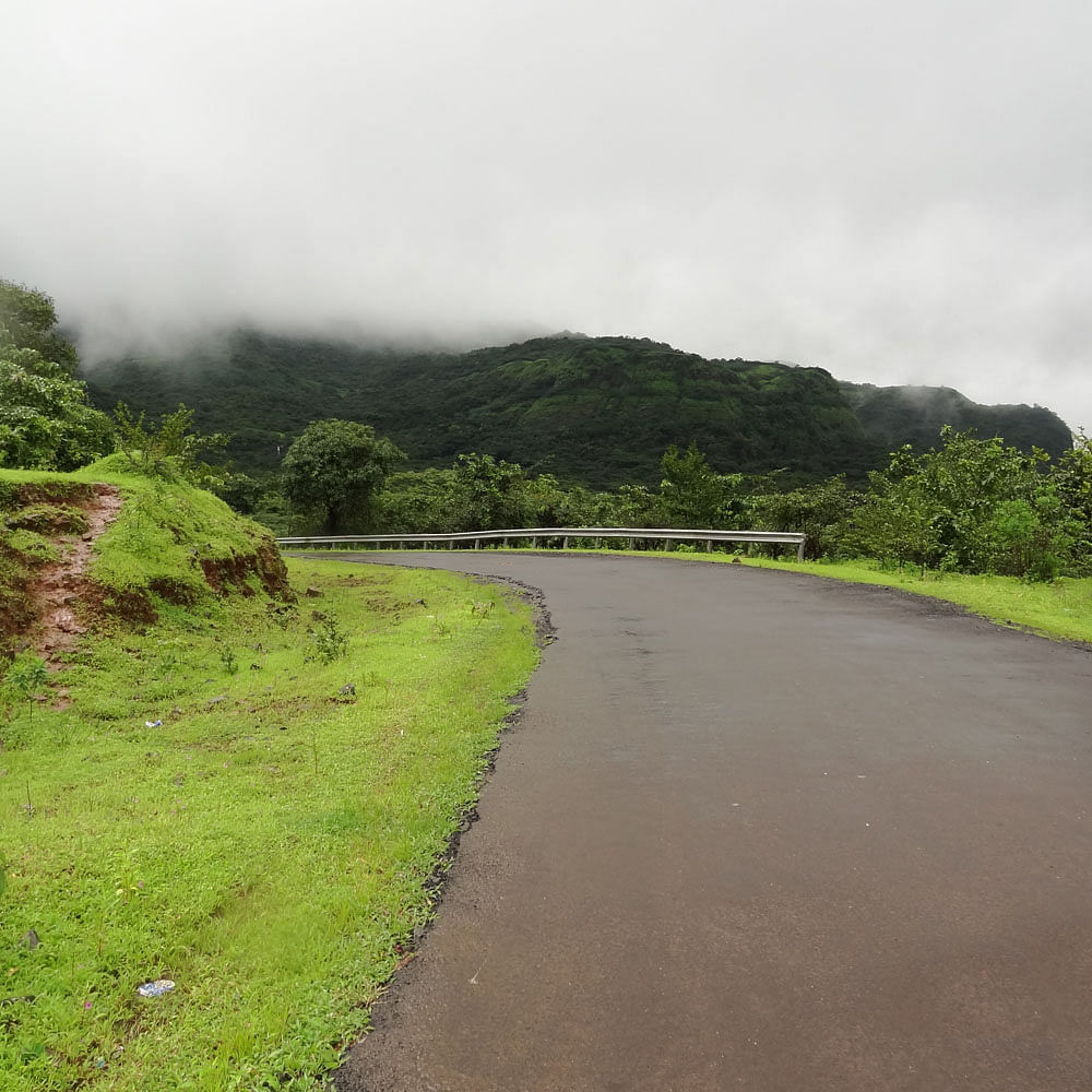 Cloud,Plant,Sky,Highland,Natural landscape,Mountain,Road surface,Tree,Land lot,Asphalt