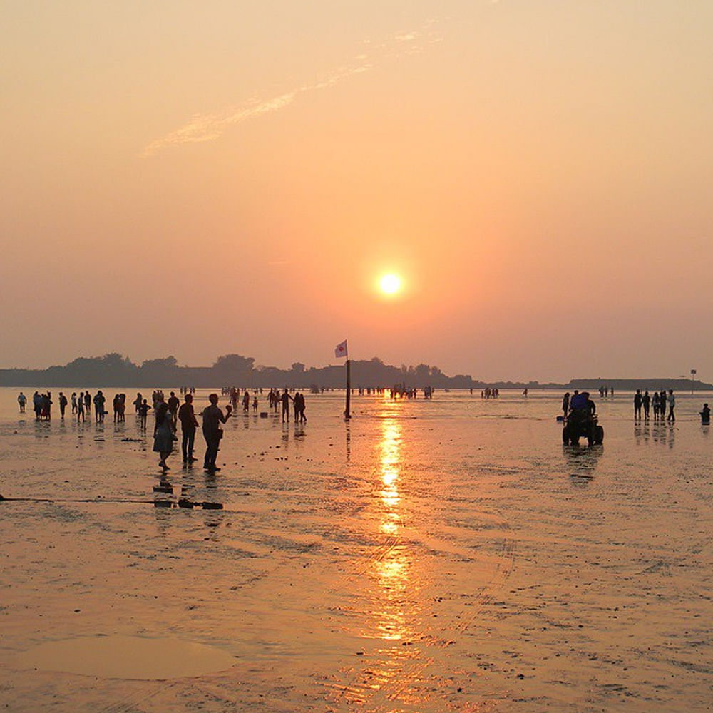 Water,Sky,Cloud,People on beach,Beach,Afterglow,Tree,Dusk,Sunlight,Horizon